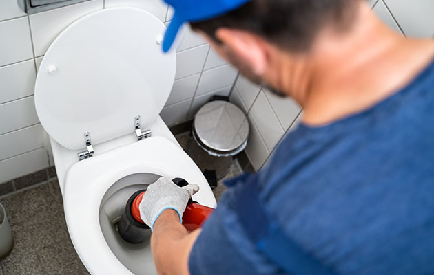 Toilet Drain Cleaning img