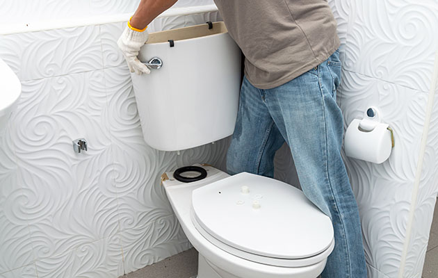 Toilet Repair img